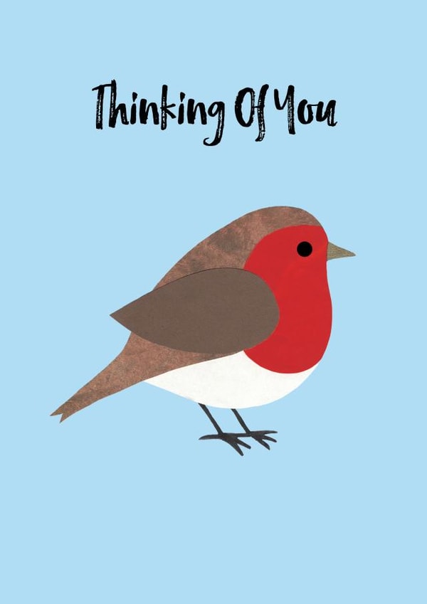 robin bird Thinking of you Card 10729 created by Chameleon and Co