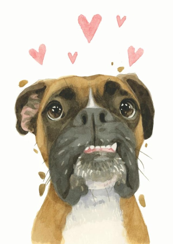 Boxer From the Dog Just because Card 21226 created by Robert James Hull
