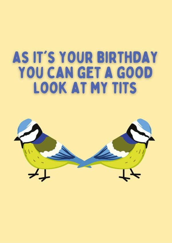 Look At My Tits For Your Birthday created by Kelly May