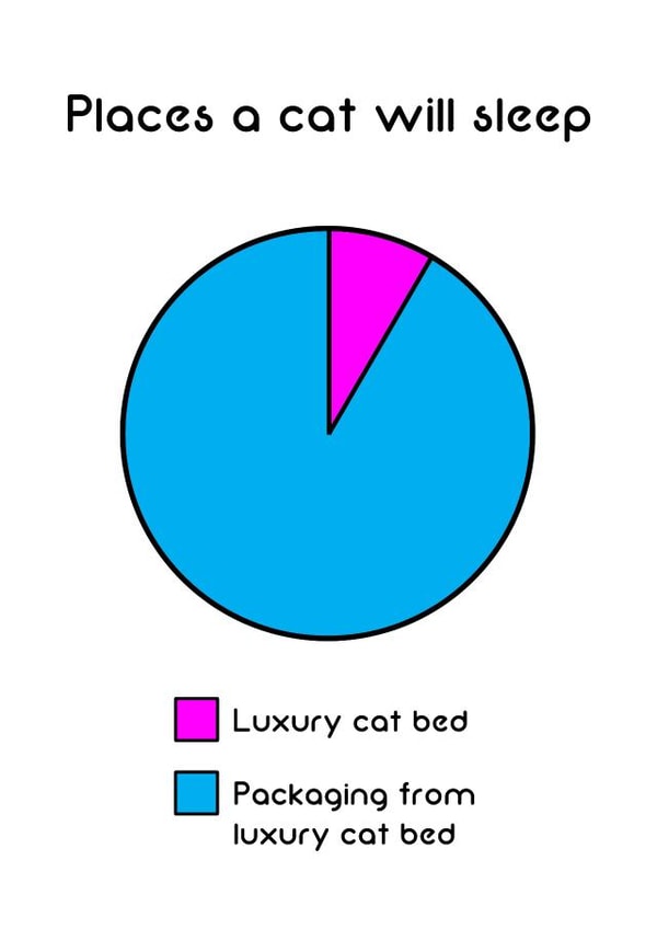 cat sleep Humour Card 9837 created by Cat Flap Cards