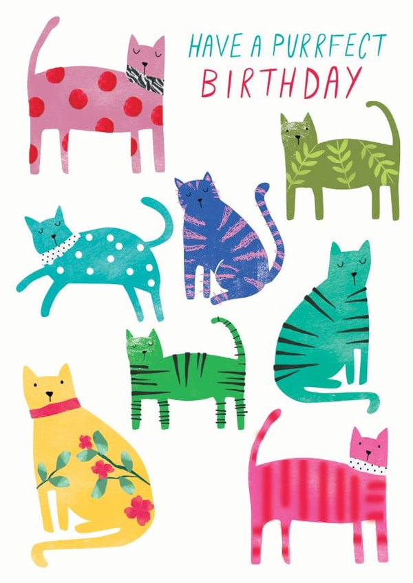 cats illustration Birthday Card 19480 created by The Boy and the Bear