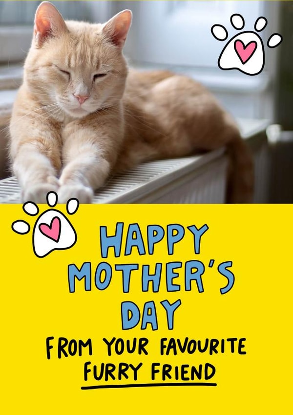 Cute Cat Mother's Day Photo Card - Happy Mother's Day From Your Favourite Furry Friend created by Angela Chick