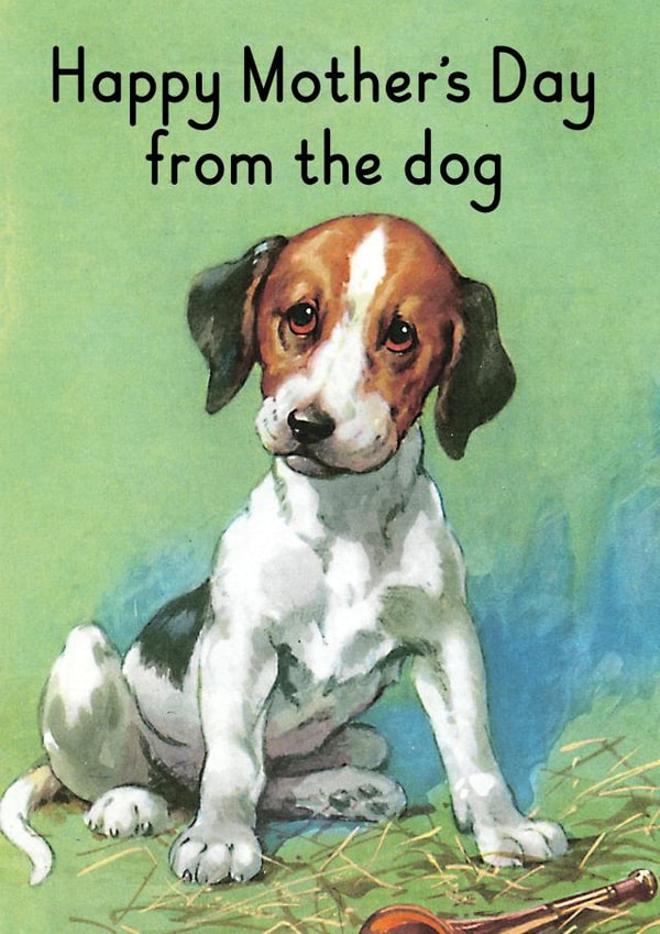 female teen Card 31755 created by © Ladybird Books Ltd 2025