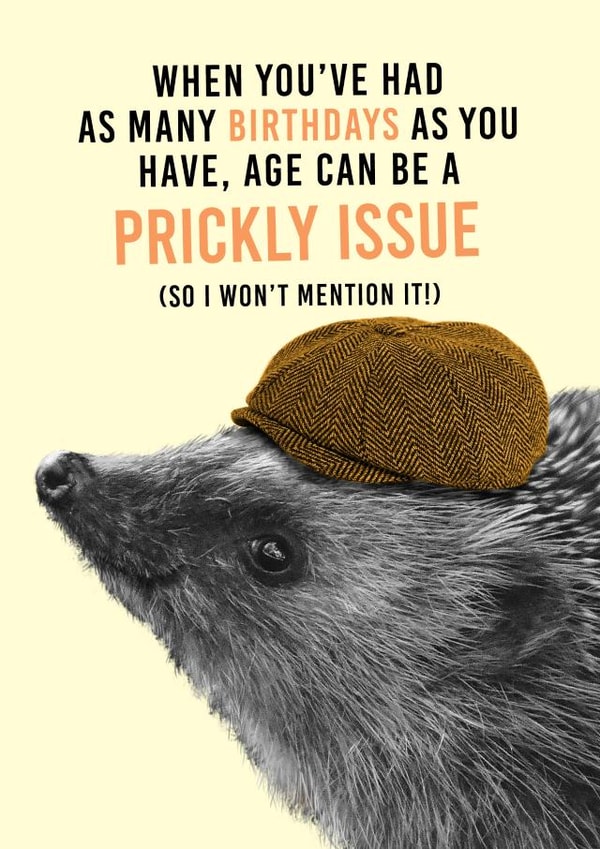 Funny Hedgehog Birthday Card created by Pink wink