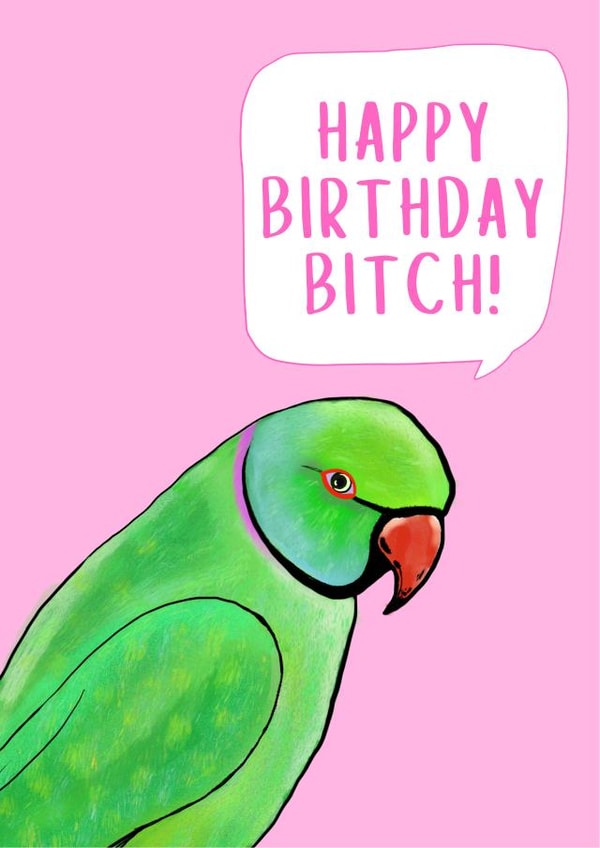Bitch Rude Birthday Card 20501 created by Sorsha draws things