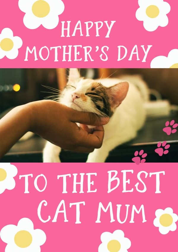 PC daisies Mothers Day Personalised Photo Card 7253 created by Giddy Kipper