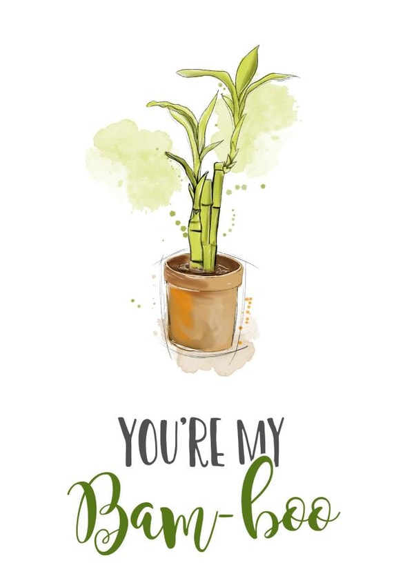 bamboo plant Love & Friendship Card 16274 created by The Arty Apples Limited