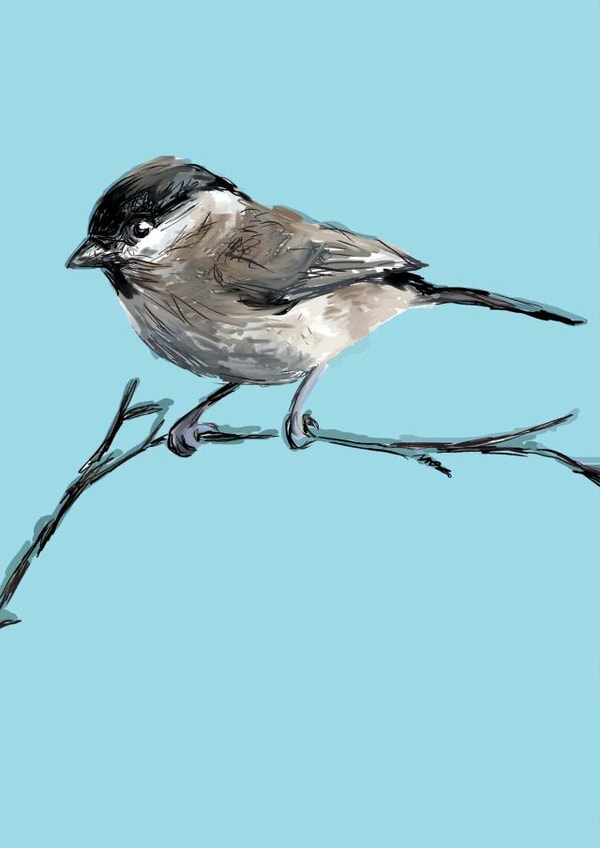 bird animal Thank You Card 23769 created by Holly T Burrows