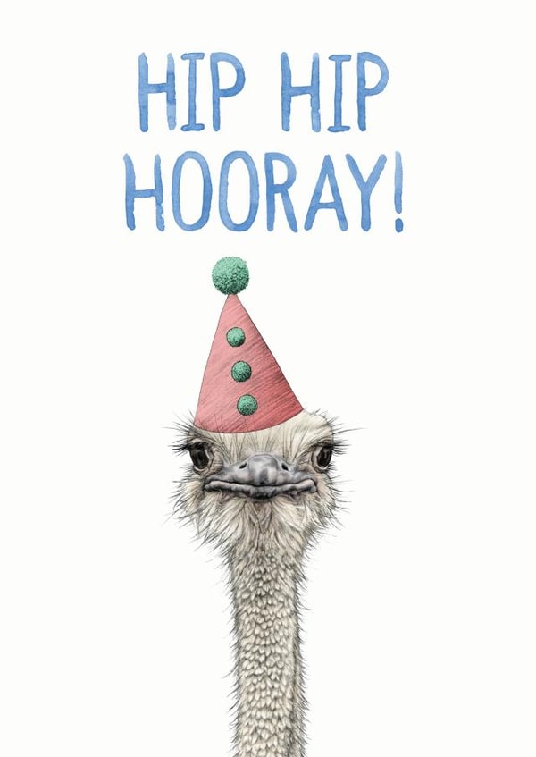 hip hip hip hip hooray Birthday Card 40661 created by Ink Bandit