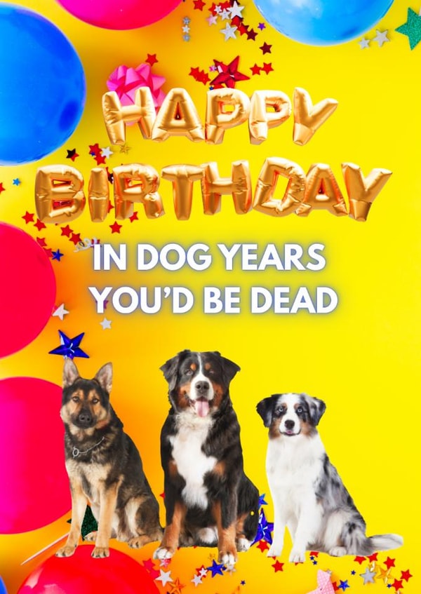 Dog birthday message - funny created by Deborah Woodthorpe Illustration