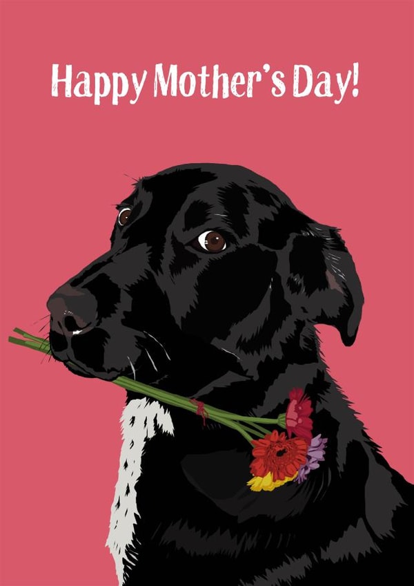 Cute Mothers Day Card - Mum - Dog - Happy Mothers Day created by Perkins & Morley