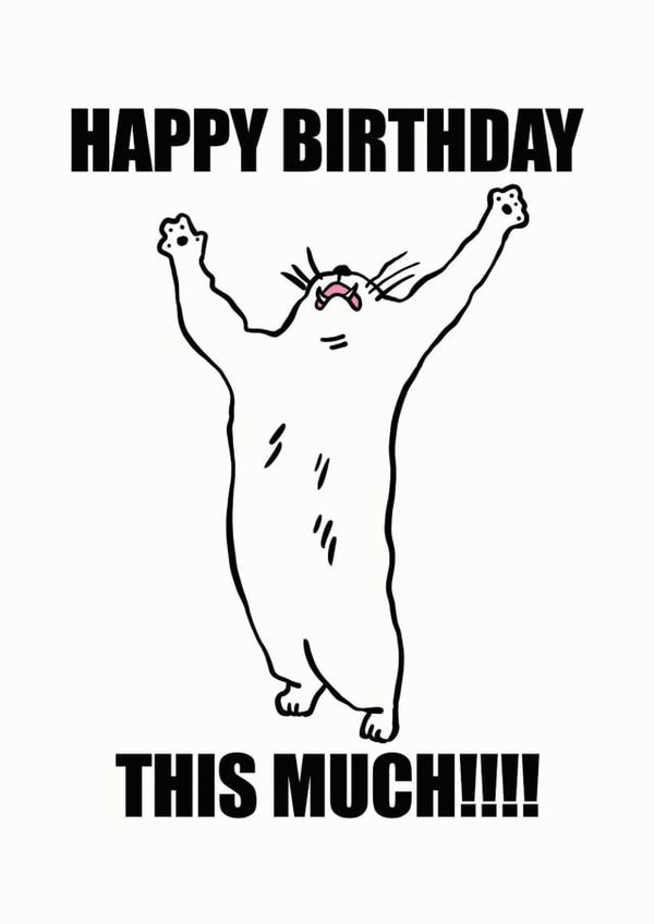 Happy Birthday This Much Cat Meme Lover created by Dhanna