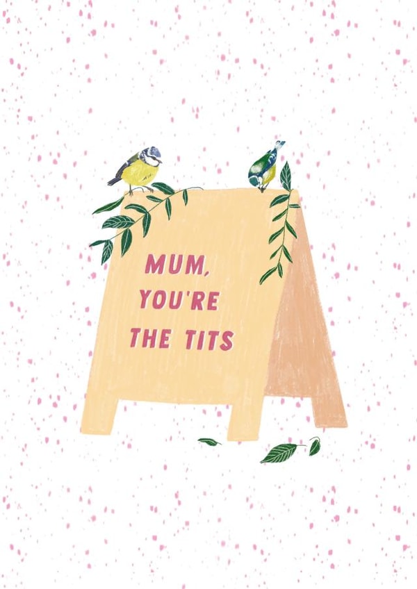Funny Mothers Day Card - Mum - Blue Tit - Mum You're The Tits created by Lily O'Neill