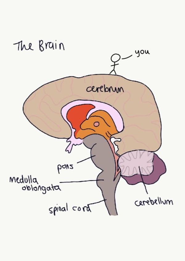 Brain Thinking ofyou Card 48008 created by incardible