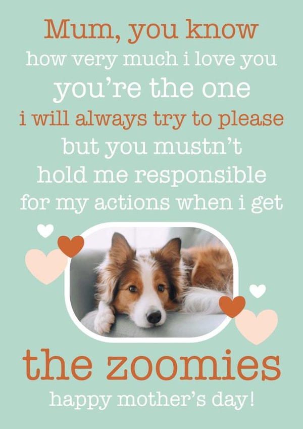 Cute Poem Mother's Day Card / Photo Card - From The Dog - You're The One I Will Always Try To Please created by Chelsey Adams