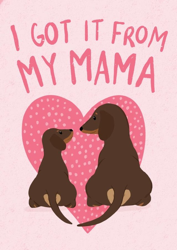 cute animals Mothers Day Card 47030 created by Hannah Nolloth 