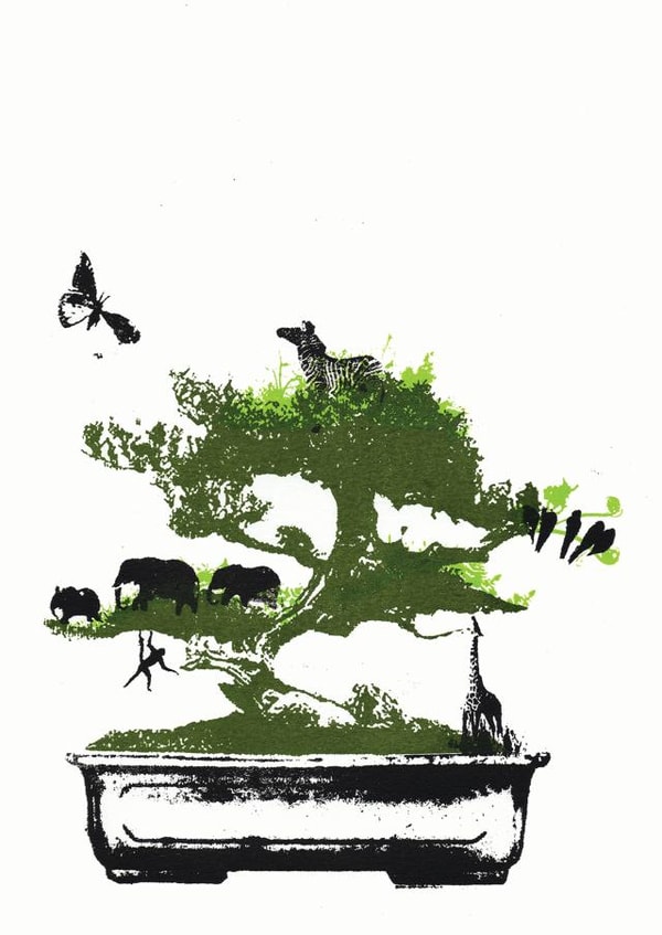 bonzai bonzai tree Card 23697 created by Katie Edwards