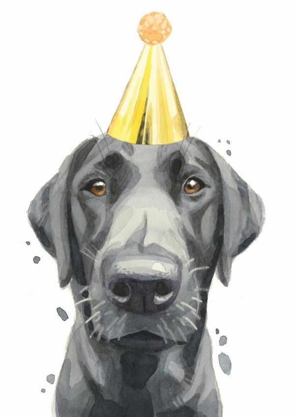 Black Labrador Labrador Retriever Birthday Card 21232 created by Robert James Hull