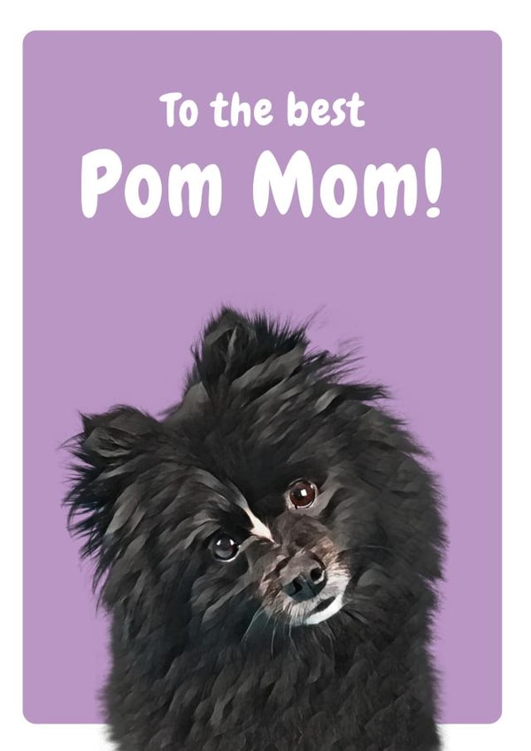 to the Birthday Card 20661 created by Studio Woof