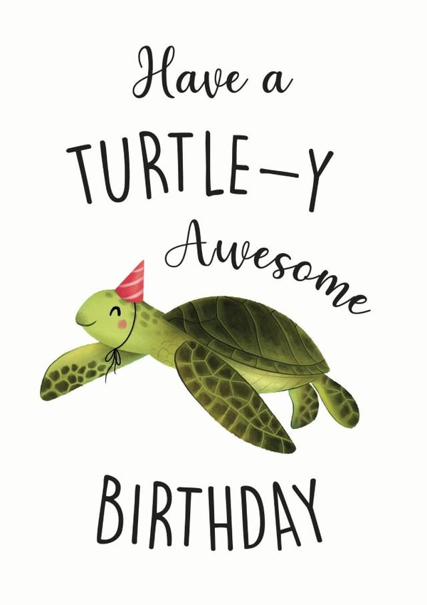 have turtle Birthday Card 21528 created by Sophie Kent Illustration