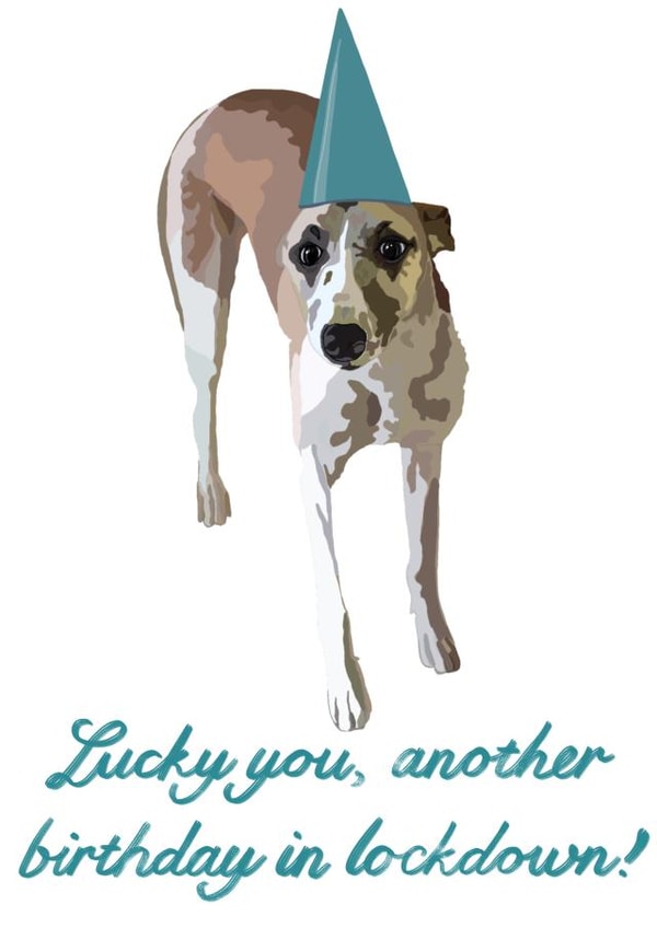 sarcastic dog Birthday Card 48181 created by AmyJanePortraits