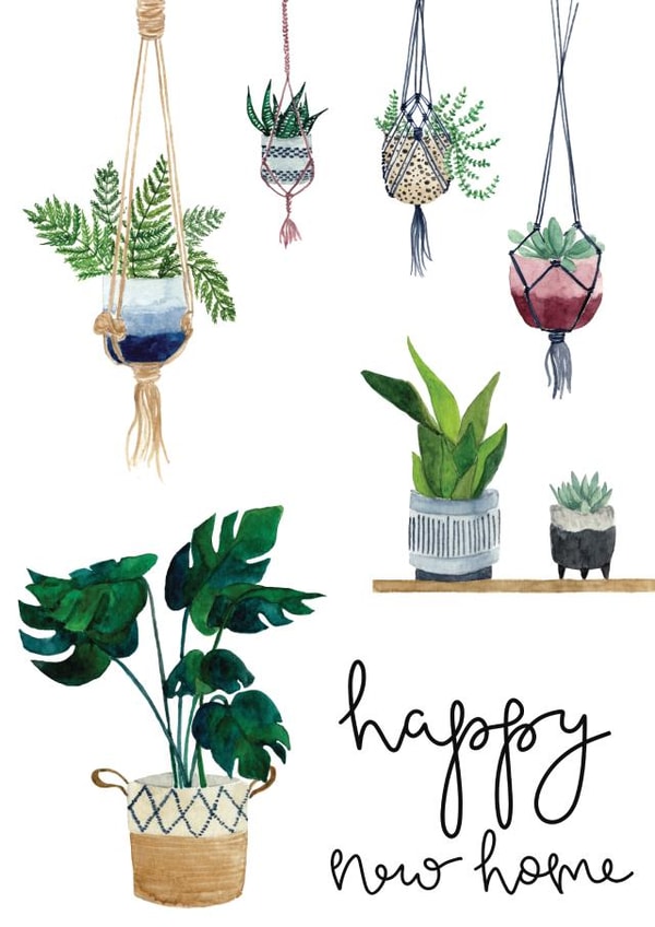 Pretty House Plant New Home Card - Hanging Plants - Happy New Home created by Bramble Designs