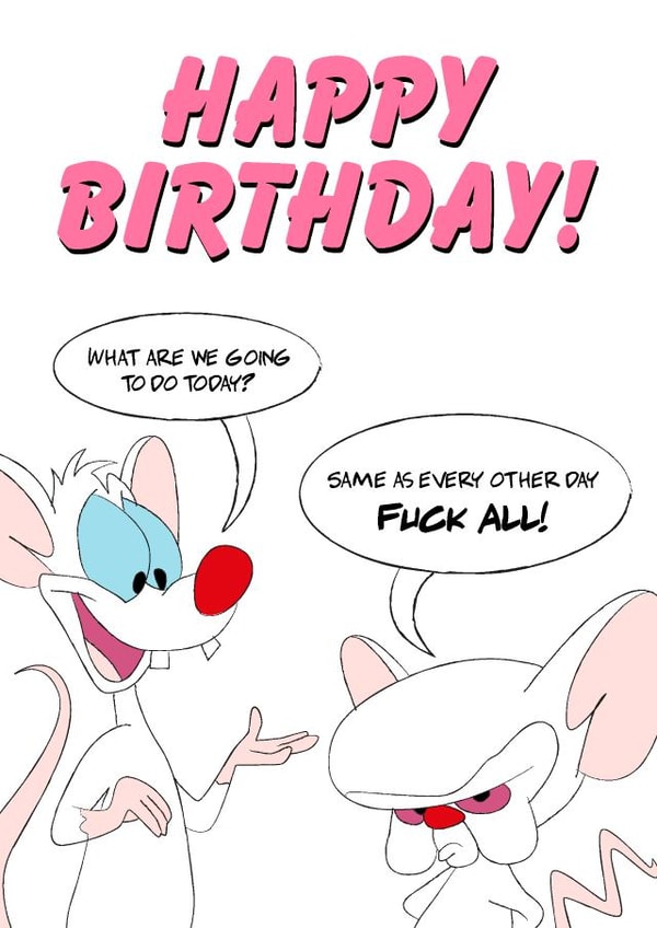 Lockdown Birthday (Pinky and The Brain) created by SJS Designs