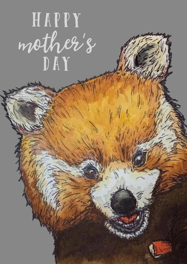 redpanda  animal art  Mothers Day Card 21998 created by Art by aliciamcarman
