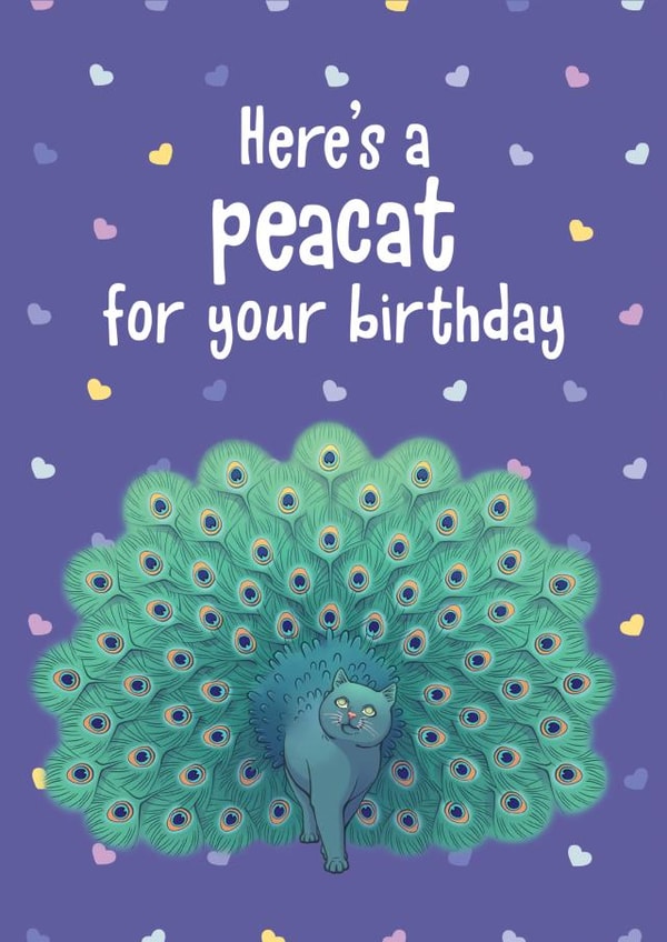 Cat and Peacock Birthday Card created by Thirty Mussels