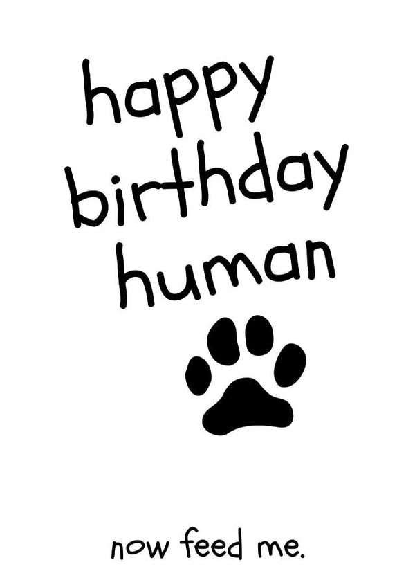 happy birthday human, now feed me created by Trickyy