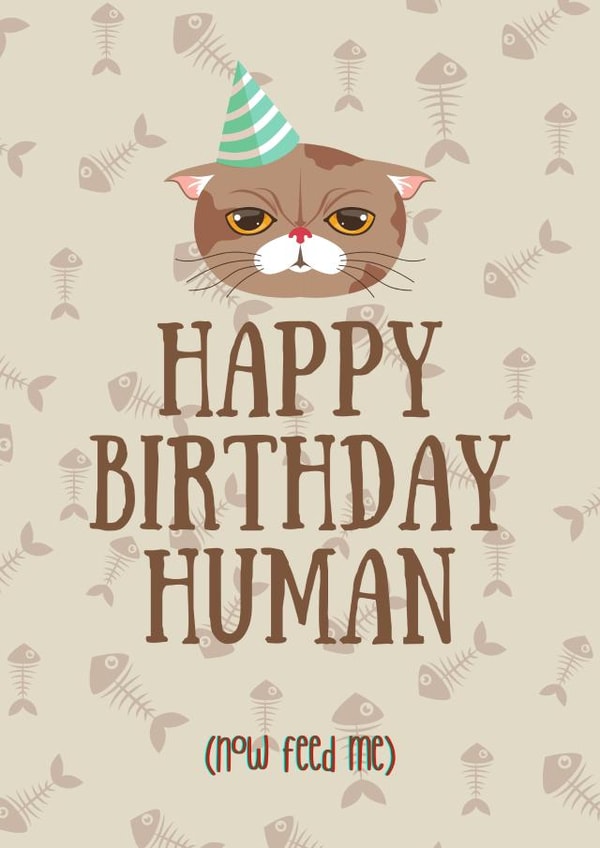 Happy Birthday Human from the cat card created by Trickyy