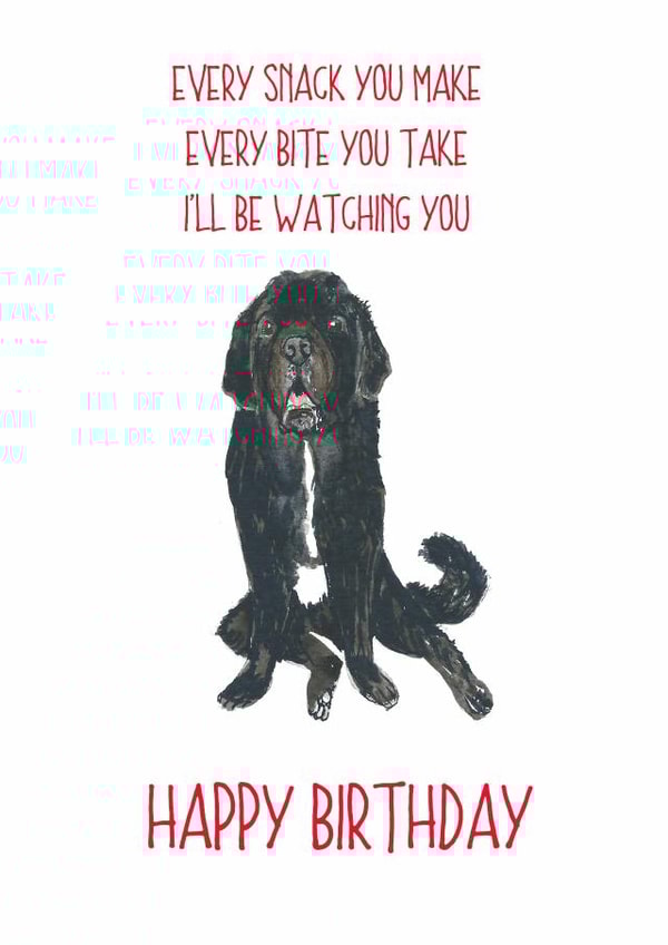 Newfoundland dog birthday card created by Sarah Maddox