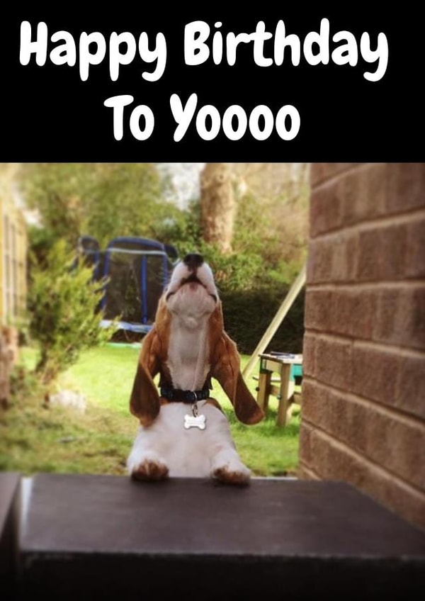 Have a howling good Beagle birthday created by Tony Norman