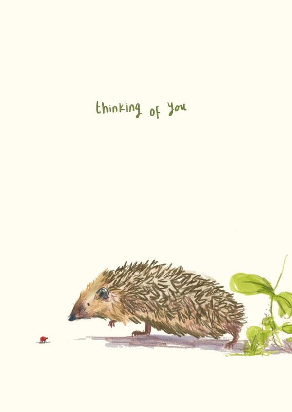 Thinking Of You Hedgehog & Ladybird created by Becca Hall illustration