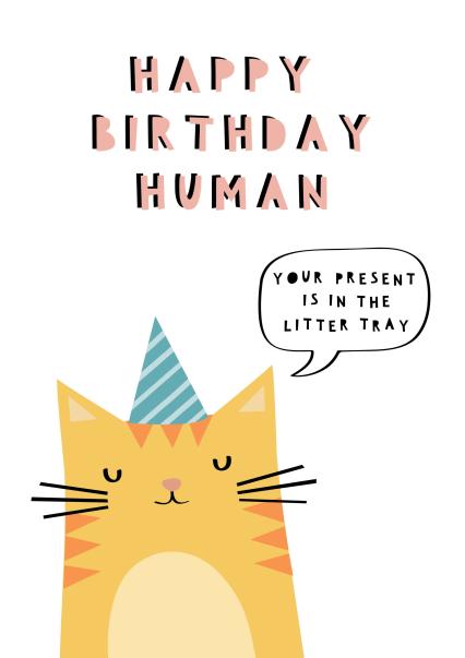 Happy Birthday Human from the cat card | thortful