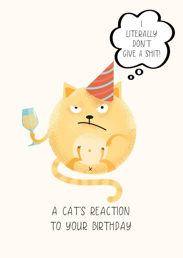 A cat's reaction too your Birthday created by Artsy Gift Co