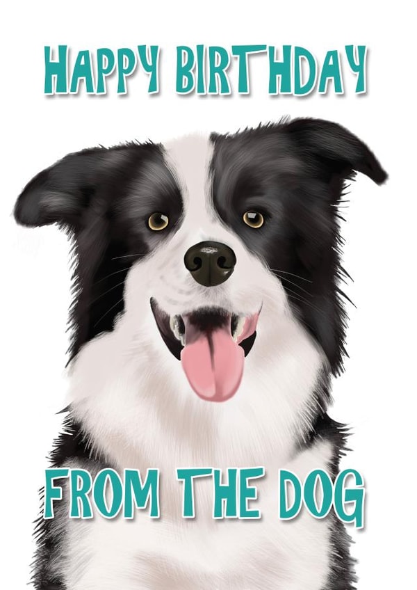 Birthday Card from the Dog (Border Collie) created by Duckduckle Design