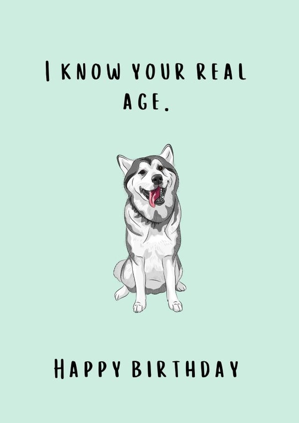 Real Age Dog Birthday Card created by Thankful Cards