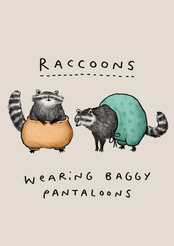 Raccoons Wearing Baggy Pantaloons created by Sophie Corrigan