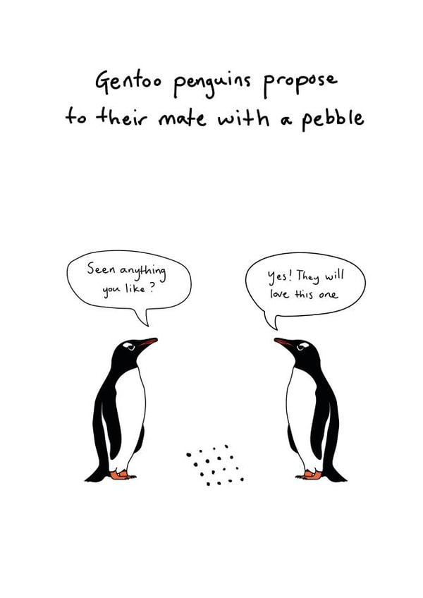 Engagement Card created by Random Animal Facts