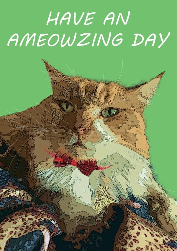 Ameowzing cat Birthday card created by Megan Bowden