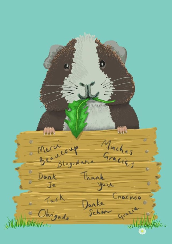 Thank You Pop Up Guinea Pig created by The Good Guinea