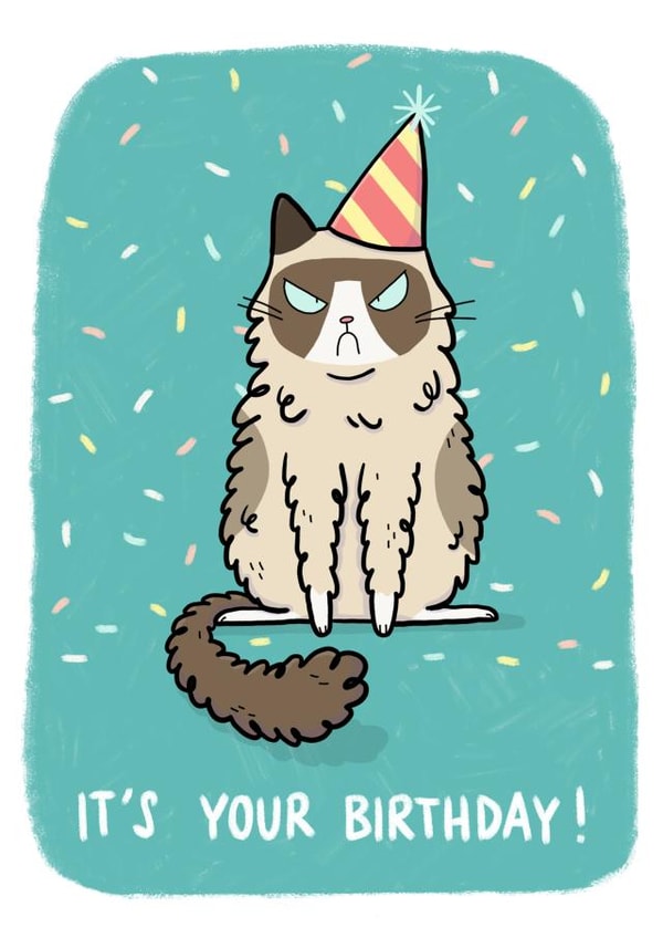 Grumpy Birthday Cat created by Camille Medina
