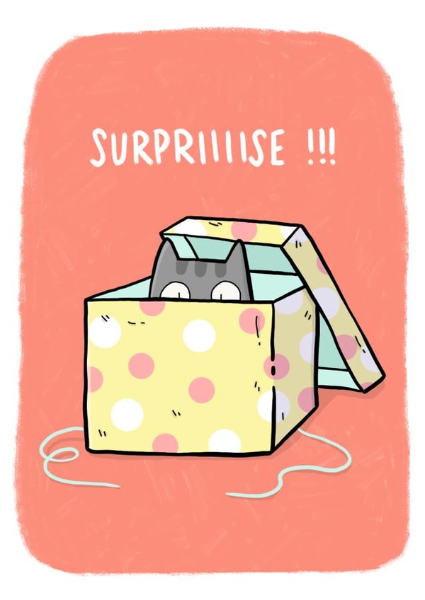 Suprise Cat In A Box created by Camille Medina