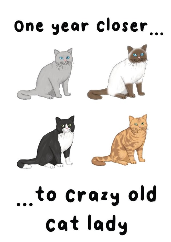 Crazy cat lady birthday card created by The Galactic Panda
