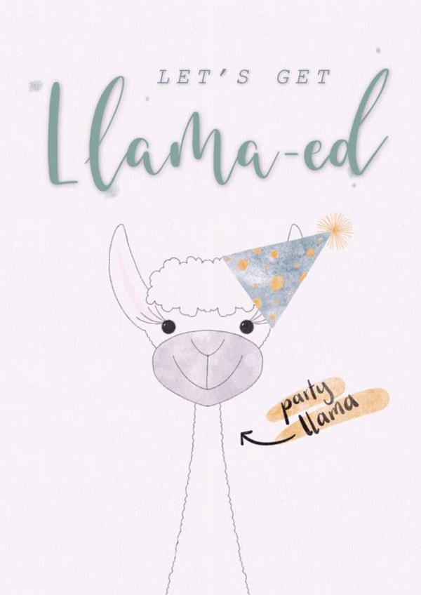 Let’s get llama-ed Birthday Card created by Magpie Designs UK