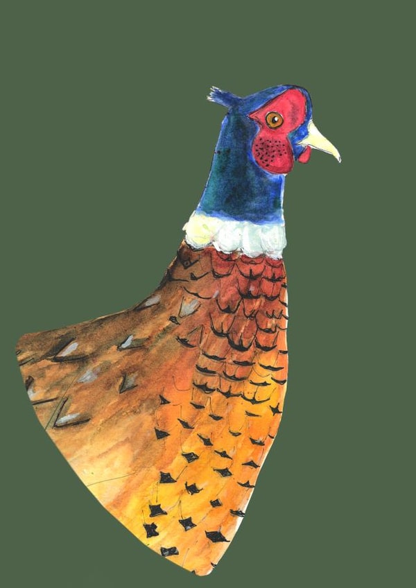 Regal Pheasant  created by Rachel Croker