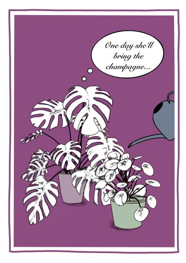 Even houseplants need champagne... created by Philippa Gumley