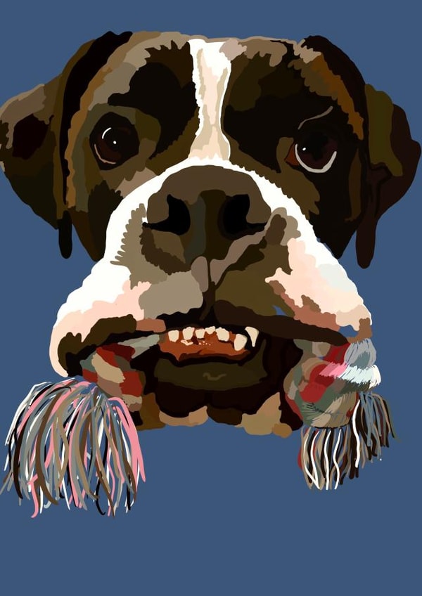 I brought you present created by Nelly Noos