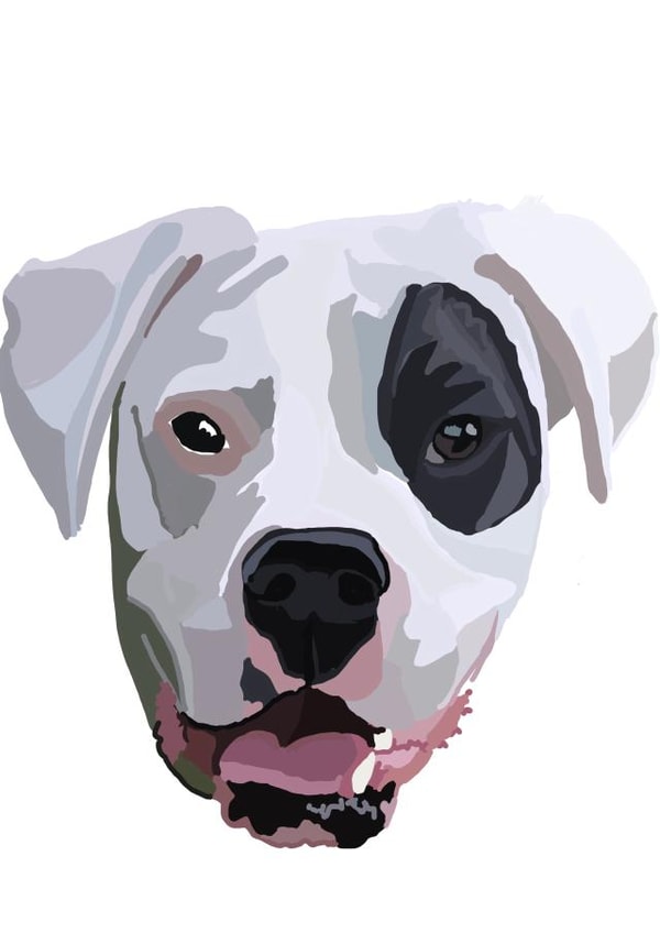 Happy Birthday boxer dog card created by Nelly Noos